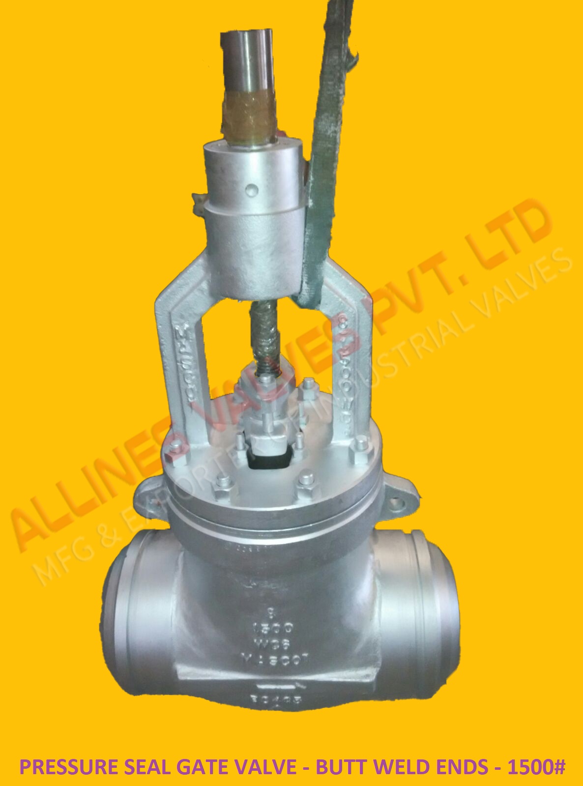 PTFE LINED Y-GLOBE VALVE